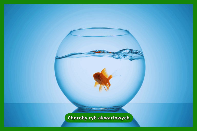 Choroby ryb akwariowych