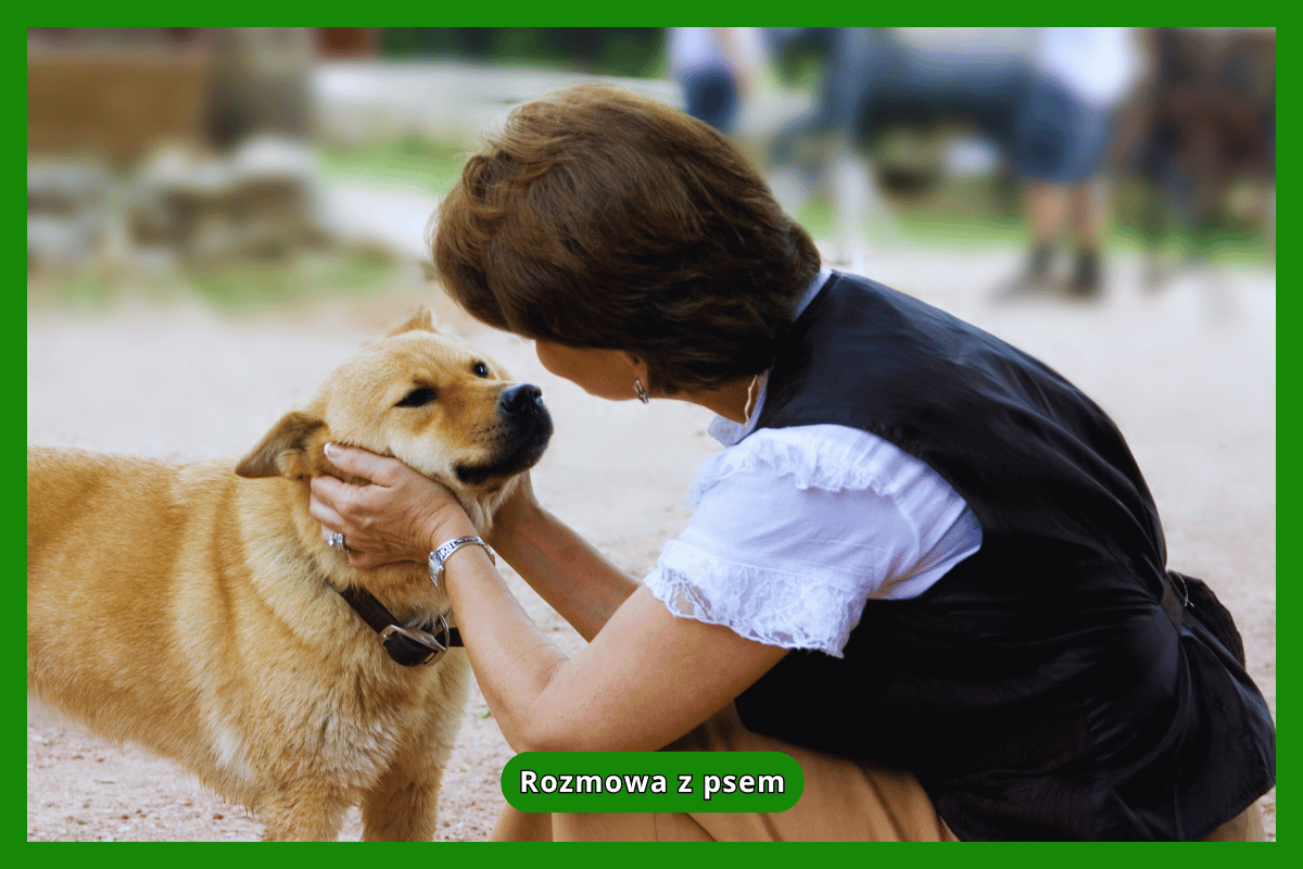 Rozmowa z psem