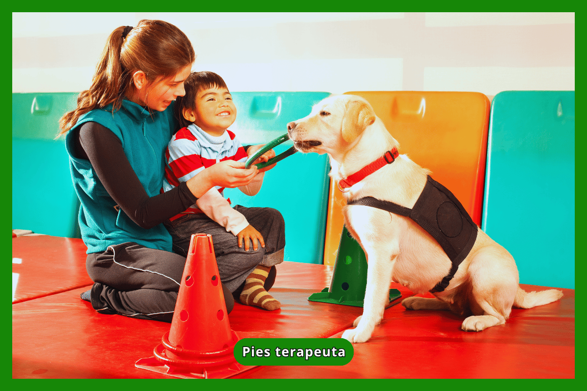 Pies terapeuta
