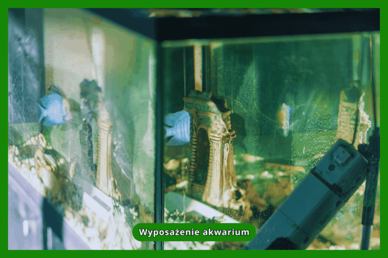 Wyposażenie akwarium