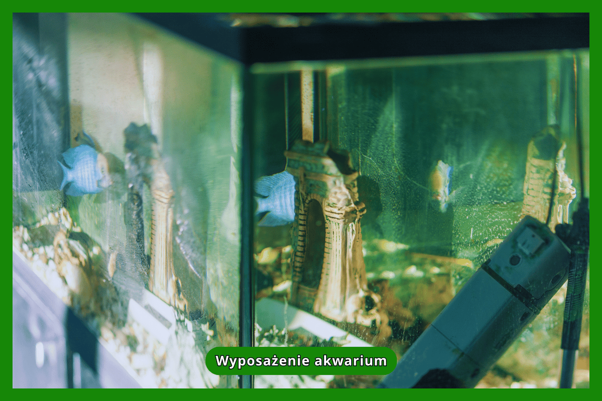 Wyposażenie akwarium