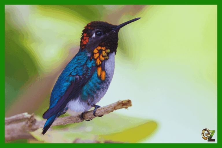 Najmniejszy ptak na gałęzi siedzi