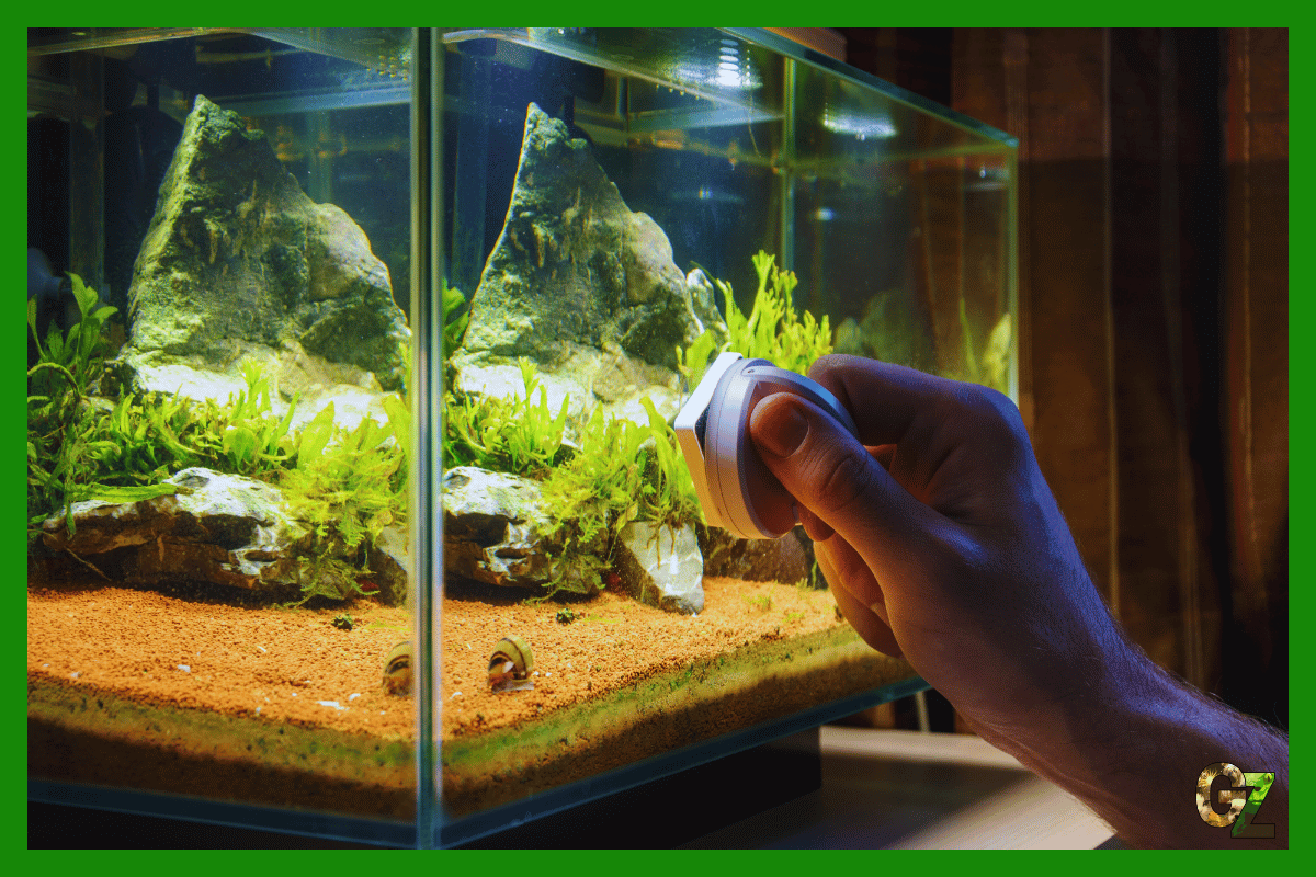 Sprzątanie akwarium