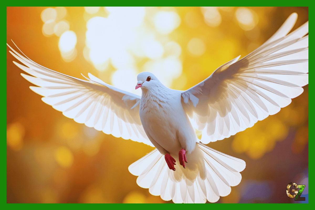 Orientacja gołębi w podróży