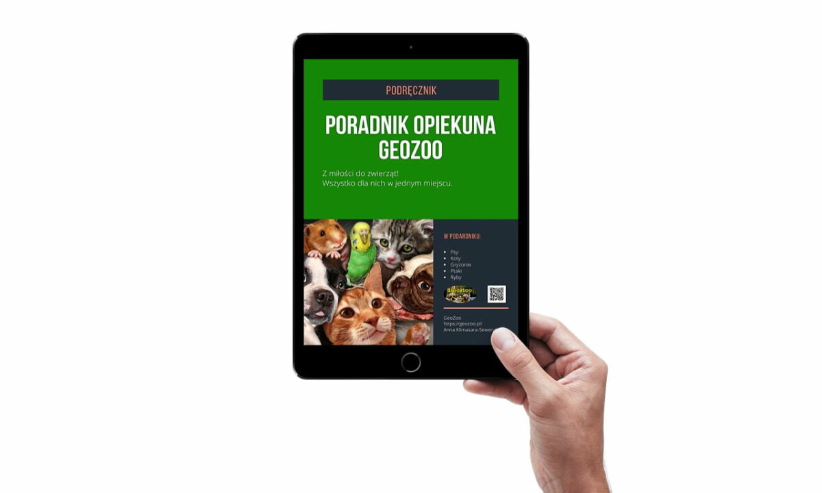 Poradnik Opiekuna GeoZoo