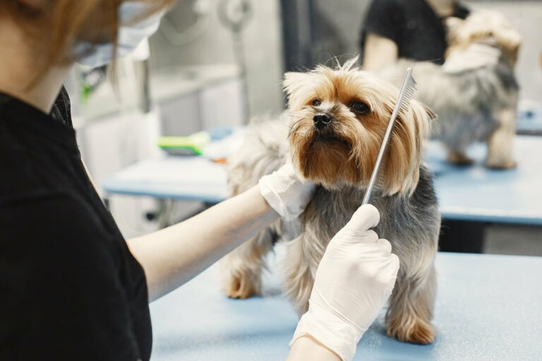 Groomer
