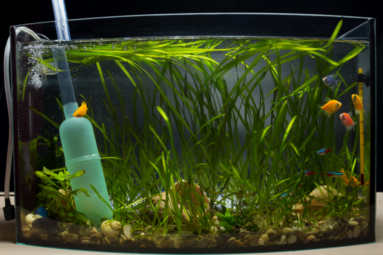 Zaopatrzenie akwarium w CO2