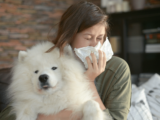 Psy dla alergików