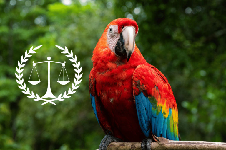 Prawne aspekty hodowli papug w Polsce