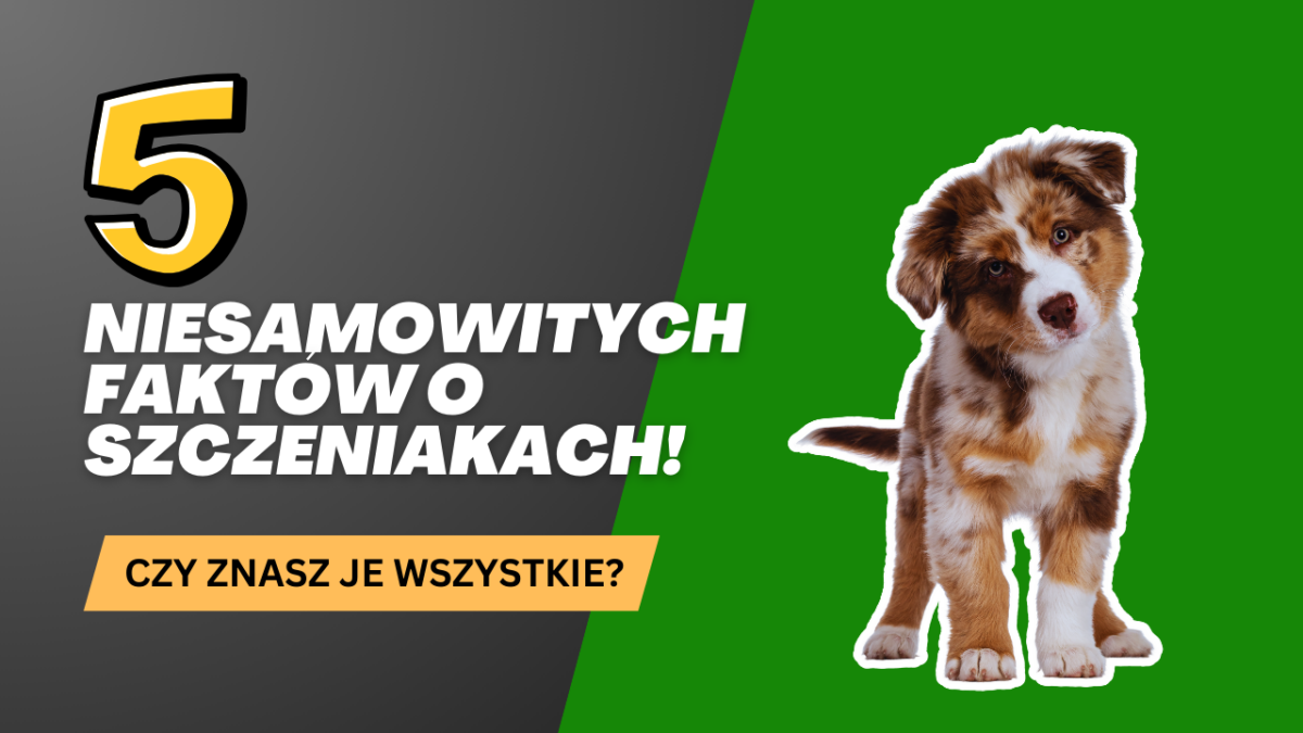 5 Niesamowitych Faktów o szczeniakach!